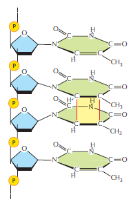 Figure 5-39.png
